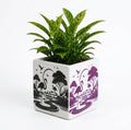 OCEAN STORE Ceramic Square Flower Pot - 10cm Flamingo Design Planter with Drainage Hole for Succulents, Herbs, Indoor Home & Office Decor