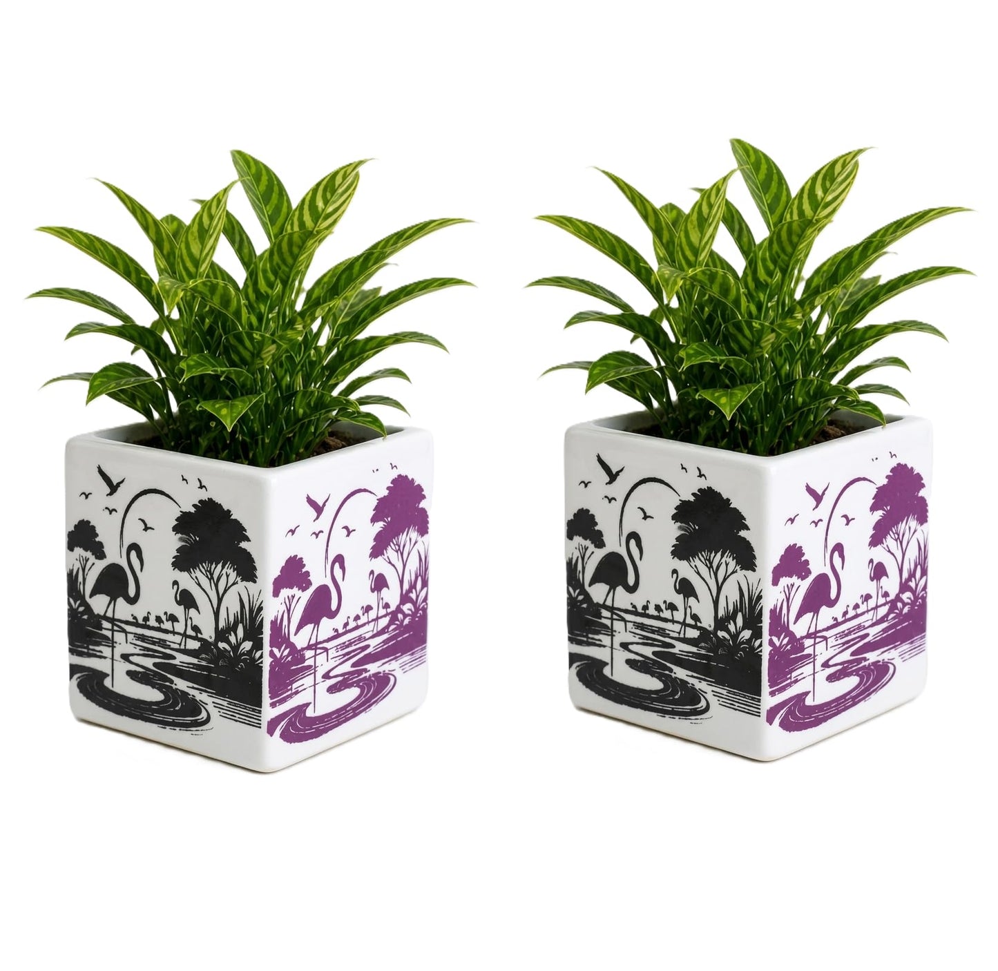 OCEAN STORE Ceramic Square Flower Pot - 10cm Flamingo Design Planter with Drainage Hole for Succulents, Herbs, Indoor Home & Office Decor