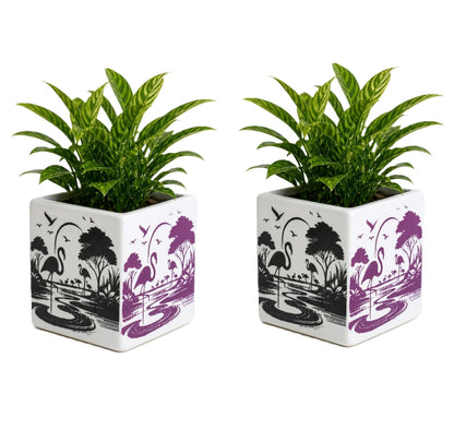 OCEAN STORE Ceramic Square Flower Pot - 10cm Flamingo Design Planter with Drainage Hole for Succulents, Herbs, Indoor Home & Office Decor