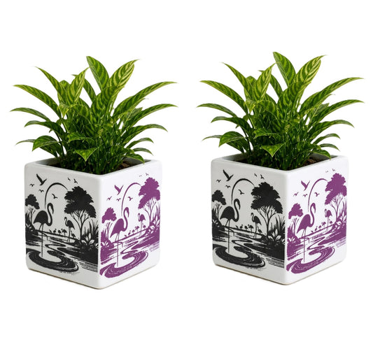 OCEAN STORE Ceramic Square Flower Pot - 10cm Flamingo Design Planter with Drainage Hole for Succulents, Herbs, Indoor Home & Office Decor